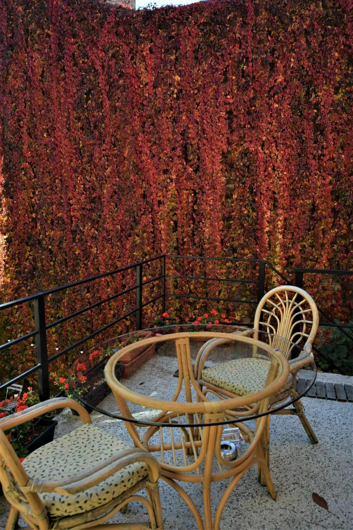 Bed and Breakfast Goldsmith Sybin Zewnętrze zdjęcie